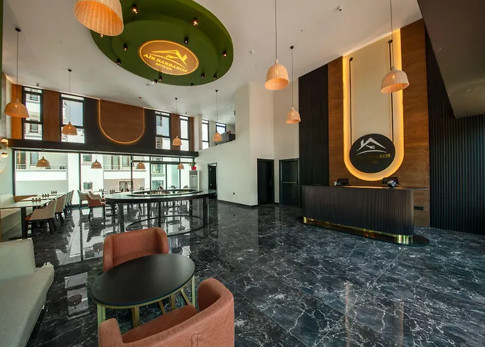 Otel Air Barbaros 3*